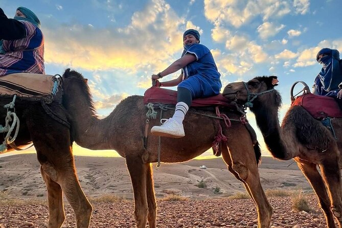 Dinner Show & camel ride with sunset views - Timing and pacing: roughly 4 hours, with sunset driving the schedule