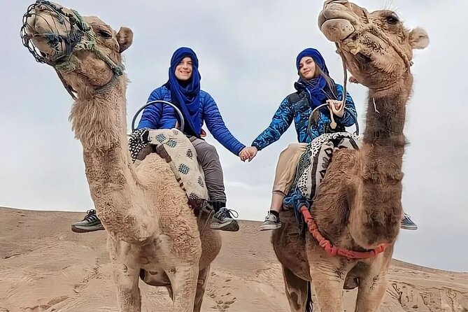 Dinner Show & camel ride with sunset views - Berber hospitality at camp: what you’re really paying for