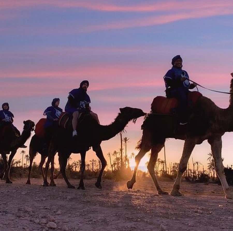Dinner show in agafay Desert 1h quad bike & 20 min camels - Key highlights I’d circle on your plan