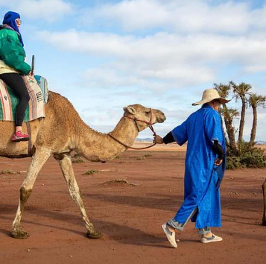 Dinner show in agafay Desert 1h quad bike & 20 min camels - Price and value: what $21 buys you in real terms