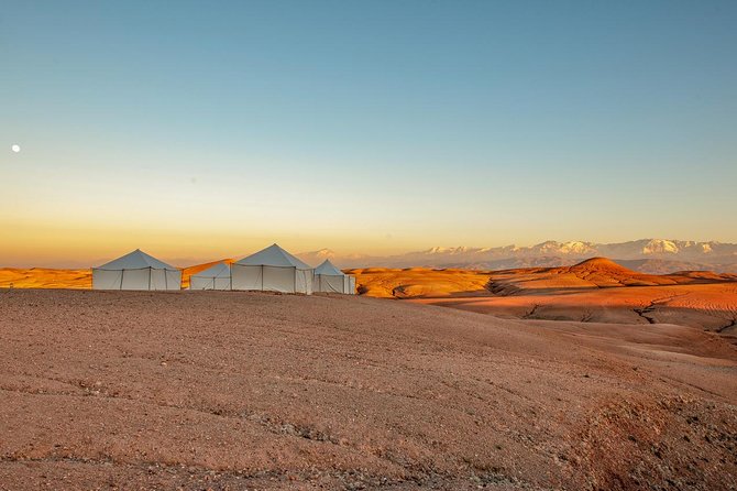 Dinner Show in Agafay Desert with Quad Bike & Camels - Price and value: what $23.26 really buys you
