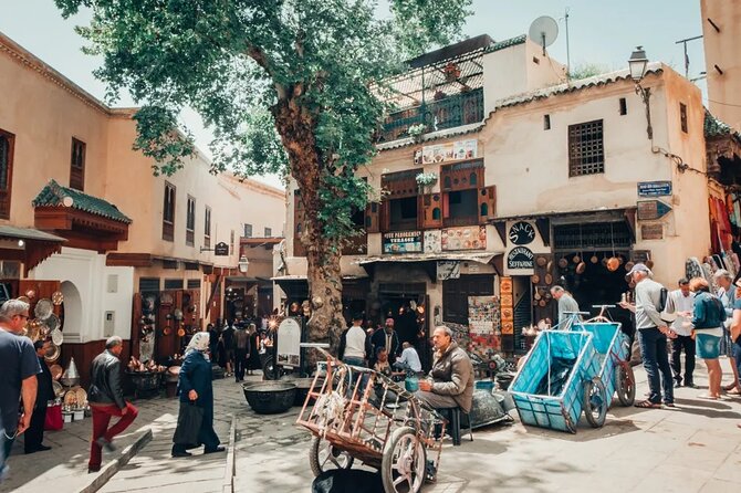 Discover Fez and it’s hidden secrets with a local - Medina of Fez: souks, carved doors, and the feel of the lanes