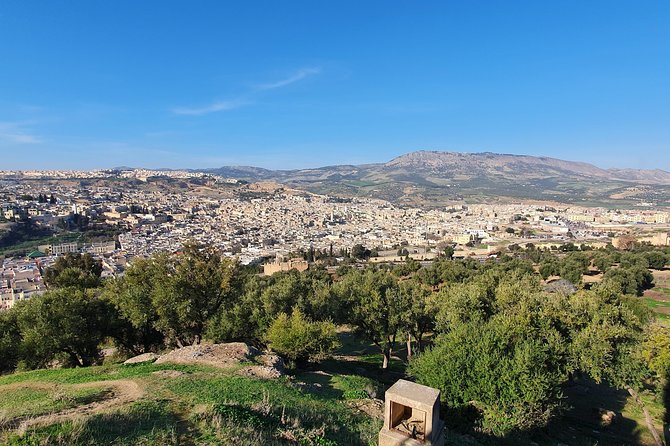 Discover Fez with a local - Tanneries at Chouara, what you’ll see and what you’ll learn
