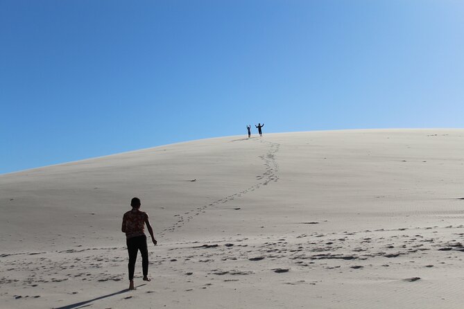 Discover the unusual sites of Dakhla in a 4x4 with a local guide - Key highlights you should care about