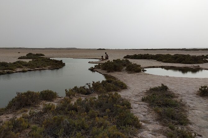 Discover the unusual sites of Dakhla in a 4x4 with a local guide - Dakhla’s 4x4 route: lagoon, ocean, and desert in one day