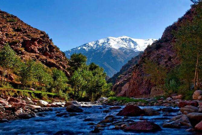 Discovering Ourika Valley and Atlas Mountains with a Local Guide - Lunch by the river: one cost you should budget for