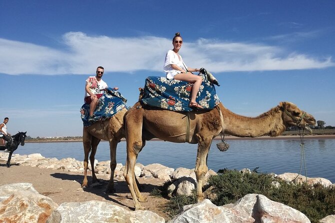 Dromedary Safari: 2 hours - Where the ride takes you: Souss Massa to Flamingos River