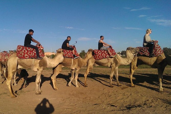 Dromedary Safari: 2 hours - The camel experience: sand time, pace, and how the setup feels