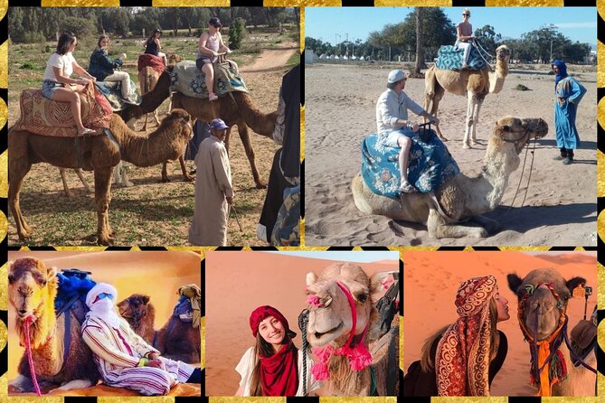 Dromedary Safari: 2 hours - What to wear and bring for dunes, walking, and photos