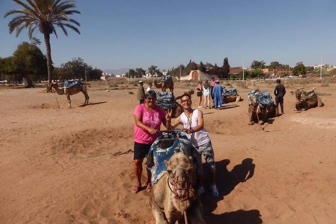 Dromedary Safari: 2 hours - Who this camel safari suits best