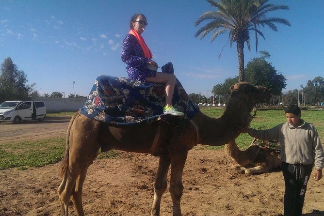 Dromedary Safari: 2 hours - Should you book this Agadir dromedary safari?