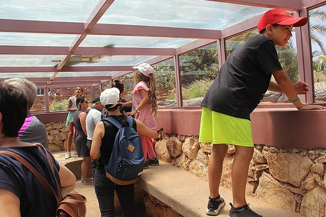 Effortless Agadir Crocoparc Ticket and Transfer Service - Beyond crocodiles: turtles, anacondas, monkeys, and plants