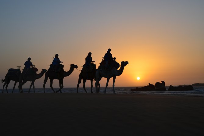 Essaouira: 1/2 Day Camel ride with meal. - Why this Essaouira camel ride is a smart half-day plan