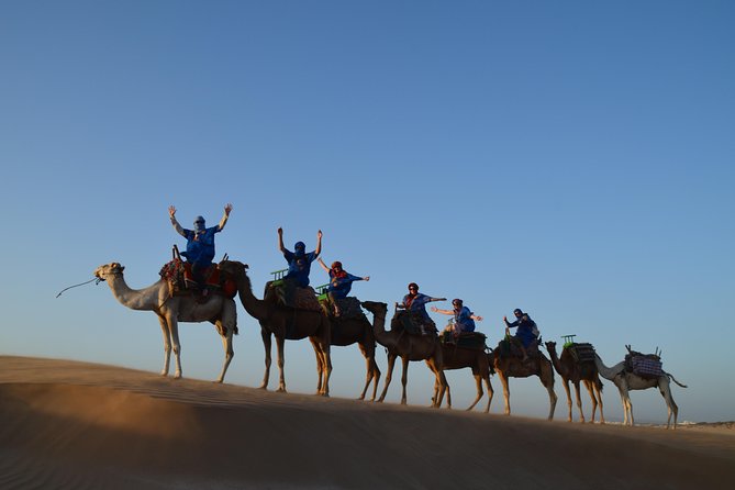 Essaouira: 1/2 Day Camel ride with meal. - From Parking Bab Marrakech to Cap Sim dunes, step by step