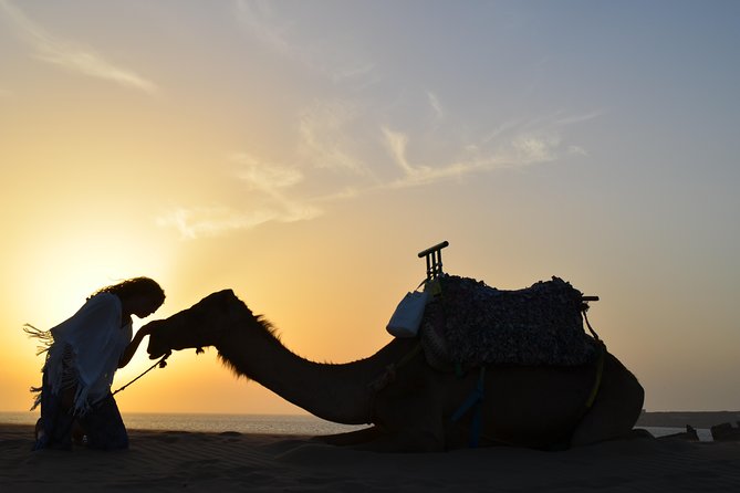 Essaouira: 1/2 Day Camel ride with meal. - The wood-fire meal: grilled chicken or fish with tea and fruit