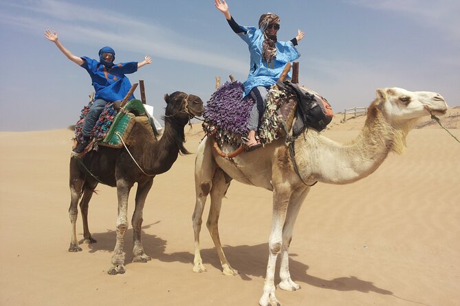 Essaouira 1 hour discovery ride on the back of a camel - A 1-hour camel discovery around Essaouira
