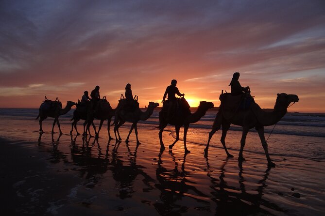 Essaouira 1 hour discovery ride on the back of a camel - Mustafa as your guide and photographer, what that changes