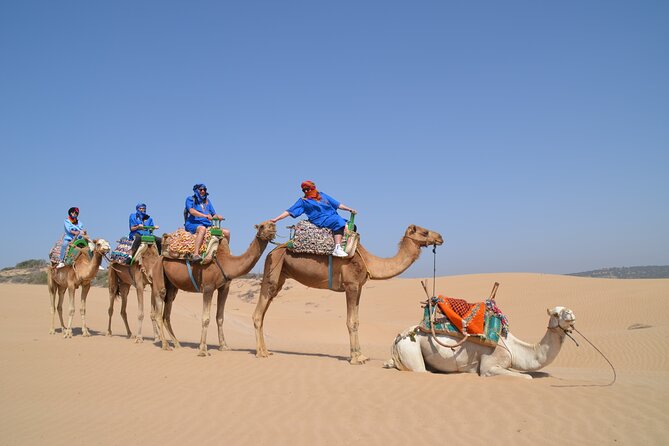 Essaouira 1 hour discovery ride on the back of a camel - Price and value: is $23.23 per person worth it?