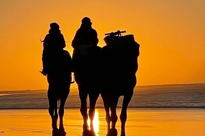 Essaouira 1 hour discovery ride on the back of a camel - Who this camel ride suits best