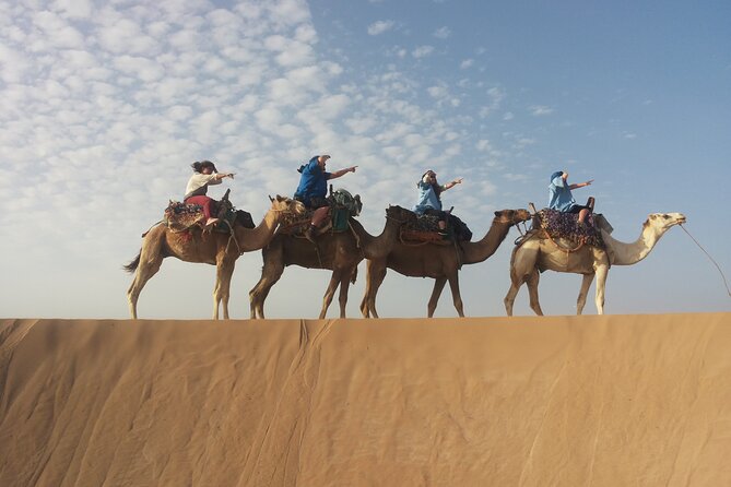 Essaouira 1 hour discovery ride on the back of a camel - Dar Sultan Ruins and the Portuguese Borj, why these stops matter