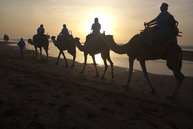 Essaouira: 1 Hour Dromedary + 2 Hours Quad - Quad Plus Dromedary in Essaouira: The Real Appeal