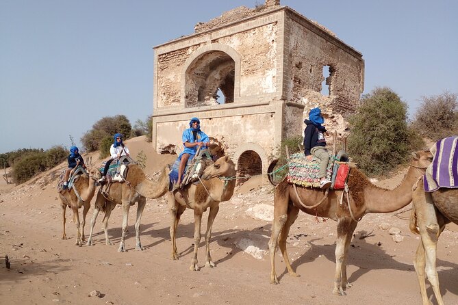 Essaouira: 1 Hour Dromedary + 2 Hours Quad - Camel Ride Along the Coast Edge and Dunes