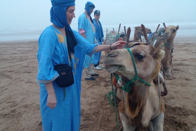 Essaouira: 1 Hour Dromedary + 2 Hours Quad - Who This Tour Fits Best (And Who Might Skip It)
