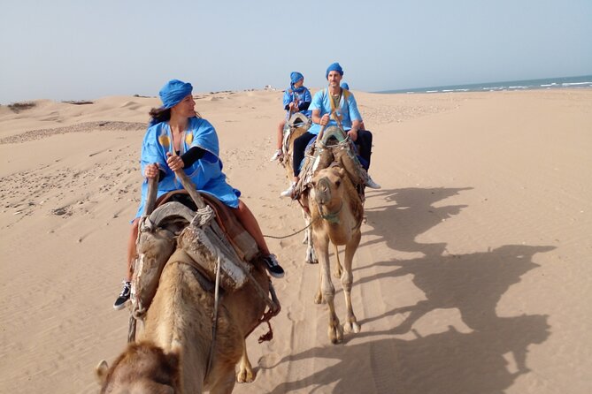 Essaouira: 1 Hour Dromedary + 2 Hours Quad - What You Will Likely See Along the Way