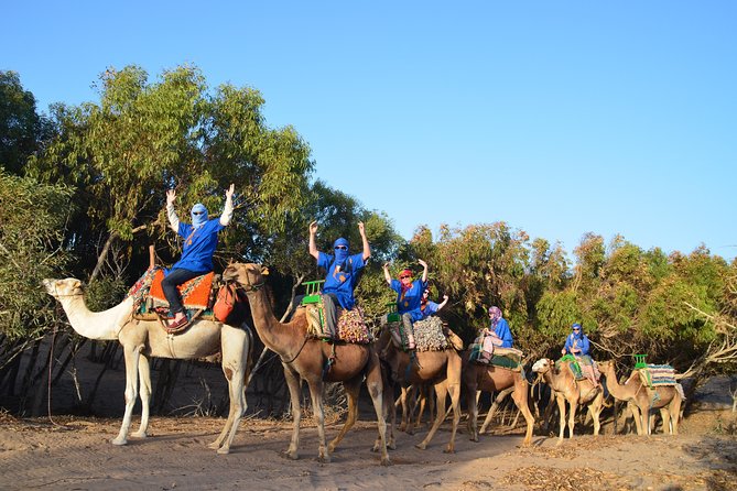 Essaouira 2-Hour Camel Adventure Ride - Key points to know before you go