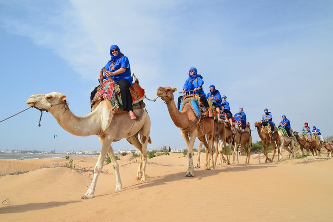 Essaouira 2-Hour Camel Adventure Ride - Why this 2-hour Essaouira camel ride feels easy