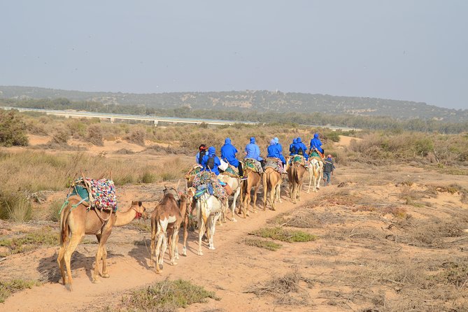 Essaouira 2-Hour Camel Adventure Ride - The guide experience: Mustafa runs the show, Mostafa makes it memorable