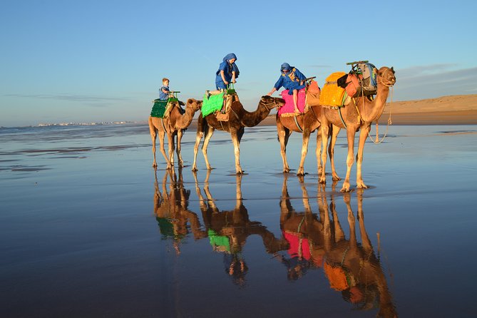 Essaouira 2-Hour Camel Adventure Ride - Loaned shawl and Darâa: fun for photos, also part of the experience