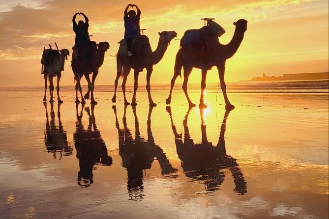 Essaouira 2-Hour Camel Adventure Ride - Price and value: what $40.71 buys you in Essaouira
