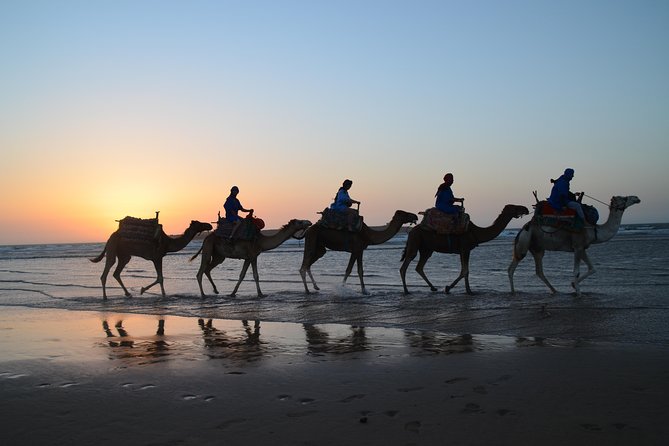 Essaouira 2-Hour Camel Adventure Ride - Portuguese borj and Dar Soltane ruins, not just a beach photo