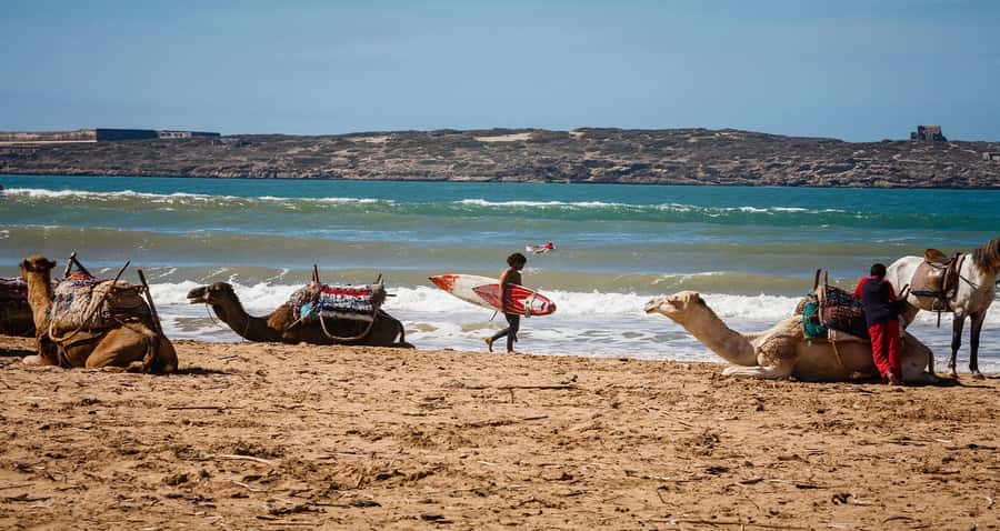Essaouira: 2-Hour Camel Ride - Key things I’d watch for