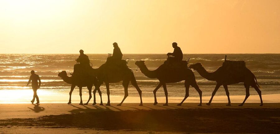Essaouira: 2-Hour Camel Ride - Should You Book the 2-Hour Essaouira Camel Ride?