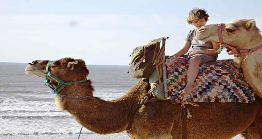 Essaouira: 2-Hour Camel Ride - Essaouira Camel Country: What You’ll Do in 2 Hours