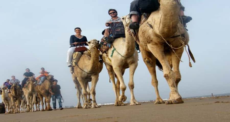 Essaouira: 2-Hour Camel Ride - Camels and Guides: Why People Rave About Their Care