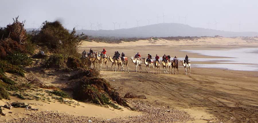 Essaouira: 2-Hour Camel Ride - Price and Value: Is $47 Worth It?