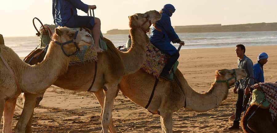 Essaouira: 2-Hour Camel Ride - Booking Smart: Avoid the Common Friction Points