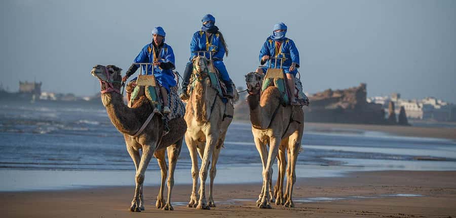Essaouira: 2-Hour Camel Ride - Hotel Pickup, Saddle Time, Atlantic Views: The Practical Flow