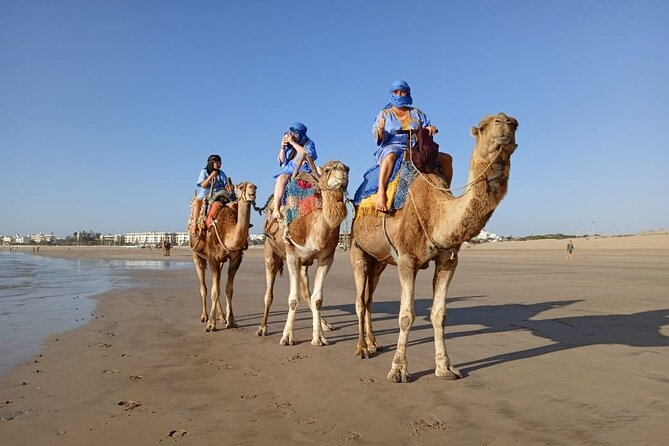 Essaouira: 2H camel/pick up and drop off including - How This 2-Hour Camel Ride With Pickup Really Feels in Essaouira