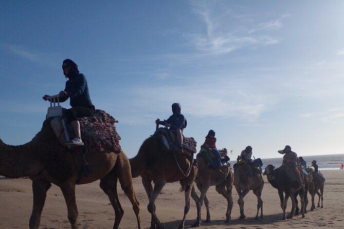 Essaouira: 2H camel/pick up and drop off including - From Pickup to the “Remains” of Essaouira, What the Guide Sets Up
