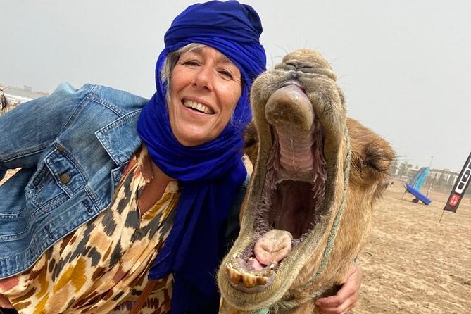 Essaouira: 2H camel/pick up and drop off including - Camels and Comfort: Calm Animals, Safety Feel, and What to Expect