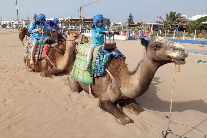Essaouira: 2H camel/pick up and drop off including - Photos and Videos: Getting Content Without Asking or Climbing Around