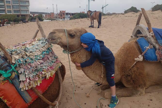 Essaouira: 2H camel/pick up and drop off including - Value for Money: Is About $45 Per Person Worth It?