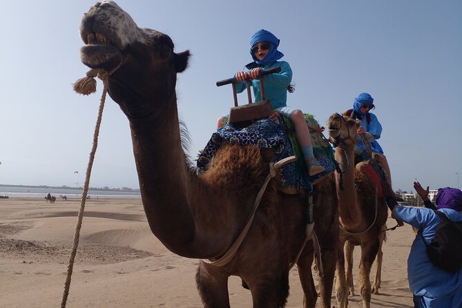 Essaouira: 2H camel/pick up and drop off including - The Jimi Hendrix Café Tea Stop, Snacks That Make the Ride Feel Real