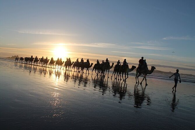 Essaouira: 2H/ Quad + 2H/ Dromedary free transfer - Getting From Your Place to Diabat, and What Happens Before You Ride