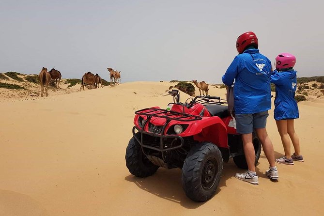Essaouira: 2H/ Quad + 2H/ Dromedary free transfer - A Calm Trek, Meeting Locals, and the Tea Break With Atlantic Views