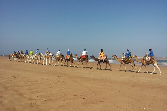 Essaouira: 2H/ Quad + 2H/ Dromedary free transfer - Essaouira Beach Camel Riding: The Slow, Memorable Second Act